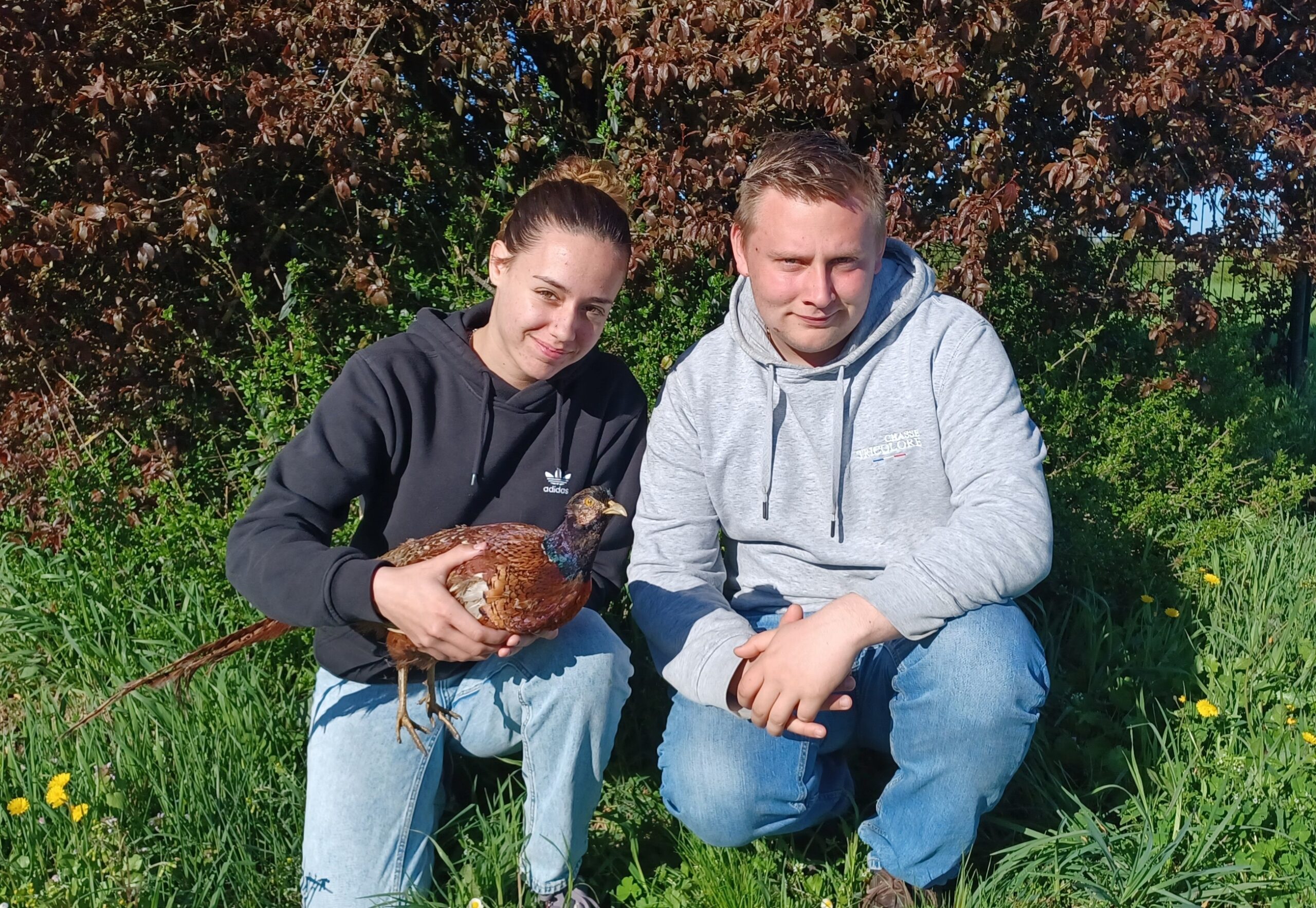 Nature et faune sauvage